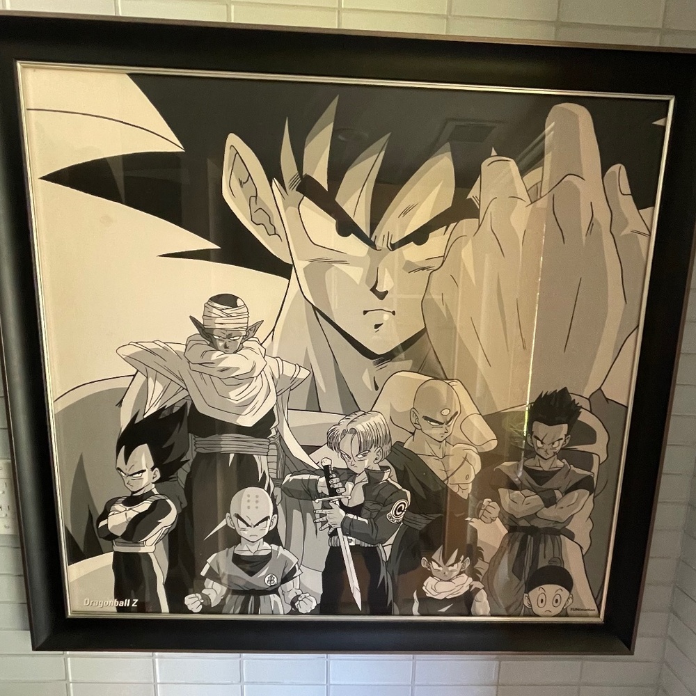 Dragon Ball Z Anime Poster